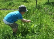 Nature Trails at Pink Apple Orchard - Butterfly catching!