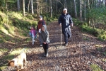 Sunlight filters through the trees at Slish Wood. Family Walks.