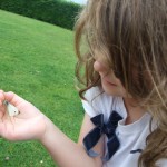 Nature in Ireland - Family Nature Trails on Holidays . Catching Butterflies