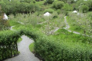Pink Apple Orchard - May Apple Blossom, Glamping in Ireland 3