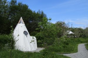 Pink Apple Orchard - The Teepee and a Yurt - Spring