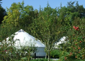 Luxury Glamping In Ireland, Leitrim. Camping within a Cider Orchard
