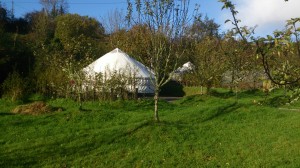 Luxury Campsite in Ireland - Perfect Family Yurt Holiday Breaks.