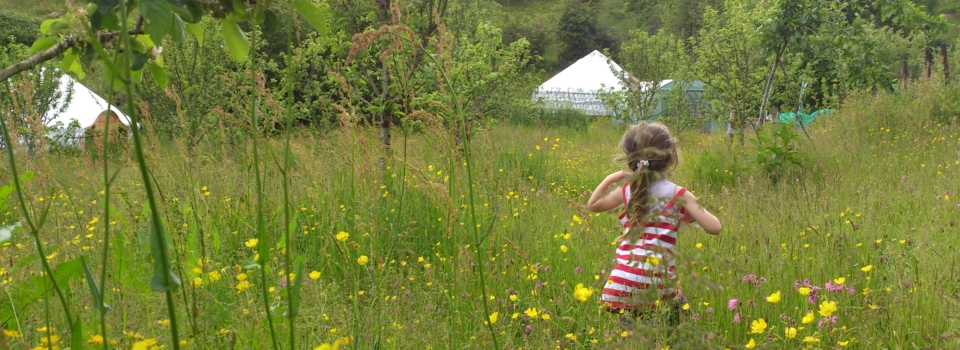 Wild Flower Meadow At Pink Apple Orchard – Yurt Glamping Holidays 001