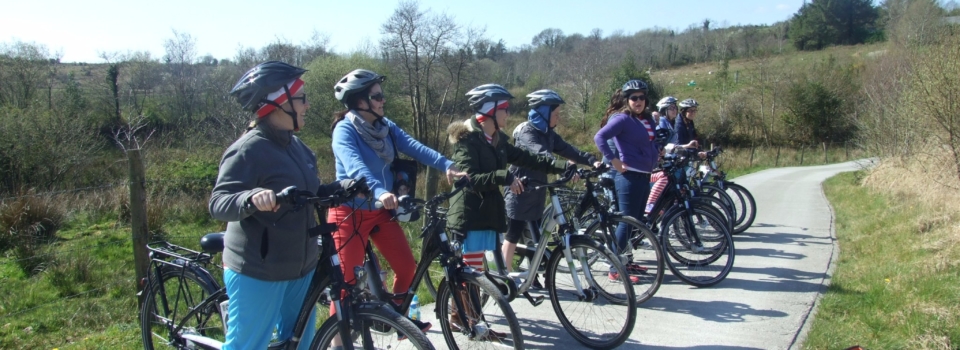 Electric Bikes, Hire bikes, Glamping, Pink Apple Orchard, bike hire, ebt