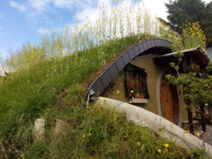 Glamping, Ireland, Leitrim, Hobbit House, Grass Roof, Family Breaks